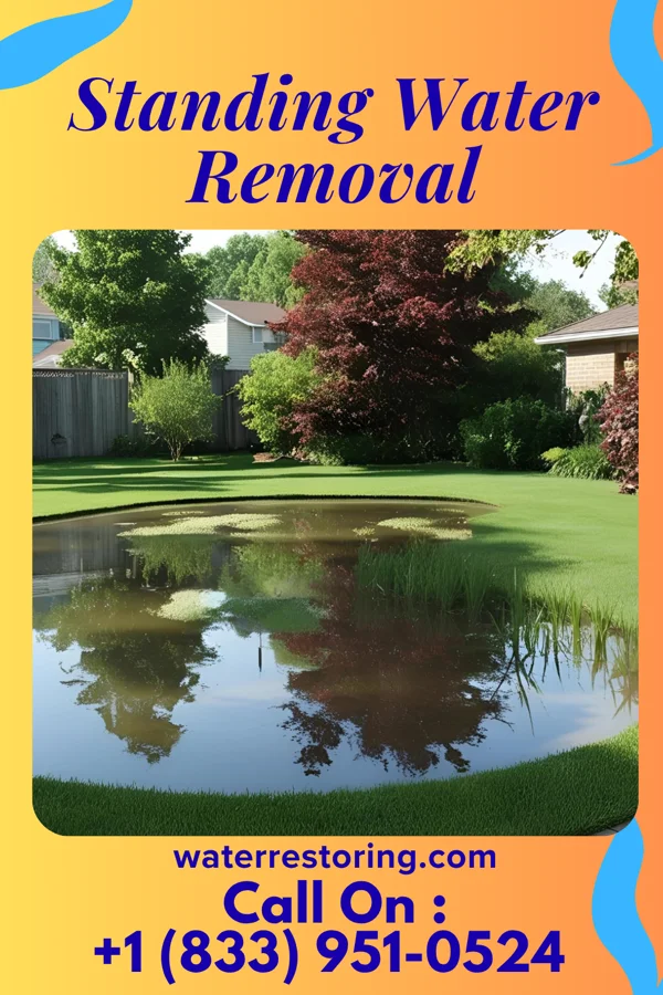Standing Water Removal in West Park, FL